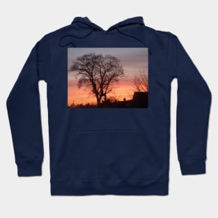 black silhouette winter tree with amazing sunset sky Hoodie